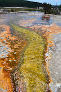 Is this why they call it Yellowstone? That's crazy blue right? (yellowstone )