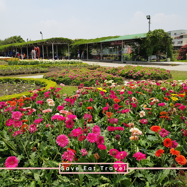 Taichung Day Tour Zhongshe Flower Farm