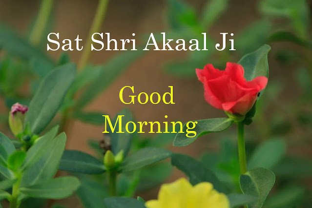 Sat Shri Akaal Ji Good Morning