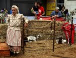 Agricultores de Portugal em Lisboa