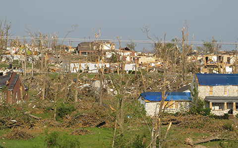 Trees can suffer windsnap or windthrow during violent weather systems