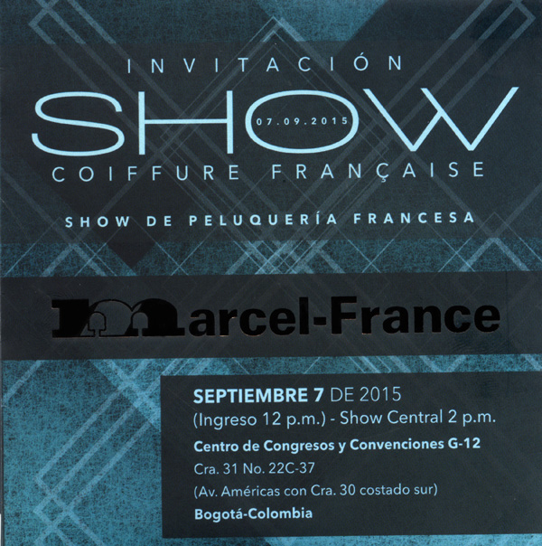 Gran-espectáculo-peluquería-Show-Coiffure-Francaise-2015