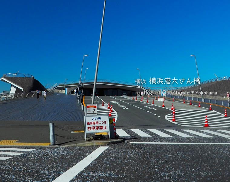 横浜･大さん橋のくじらのせなか