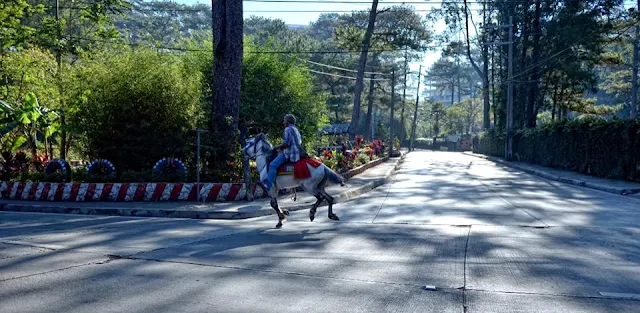 Equine in action Baguio City