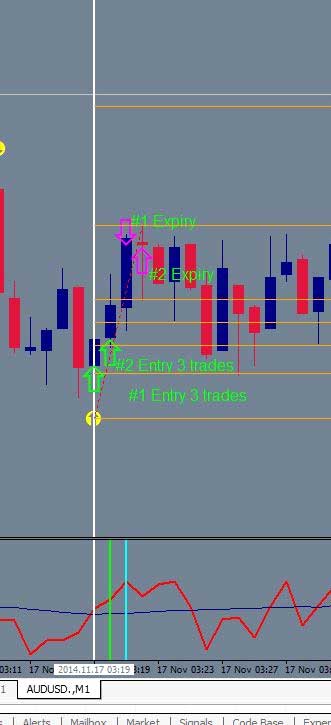 trader ed binary options killer