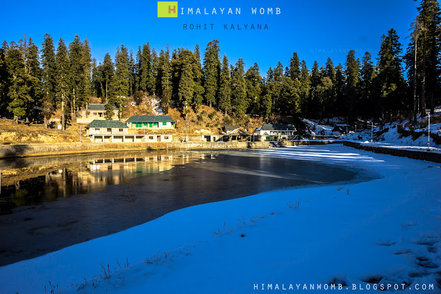 Winter Shikari Devi trek, Rohit kalyana, www.himalayanwomb.blogspot.com