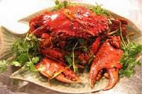 Kepiting Saus Cabe Merah