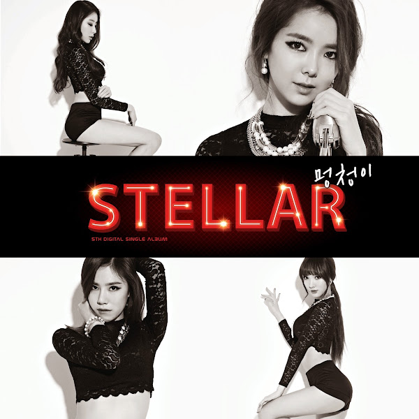 Stellar Fool Cover