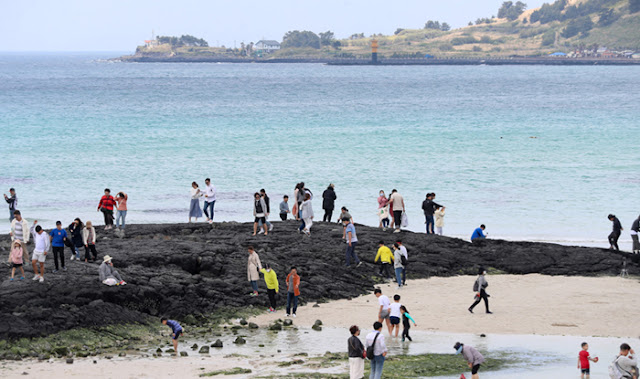 pantai Pulau Jeju