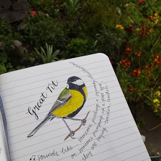 Great Tit :: www,AliceDrawsTheLine.co.uk