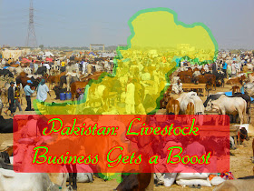 Pakistan: Livestock business gets a boost