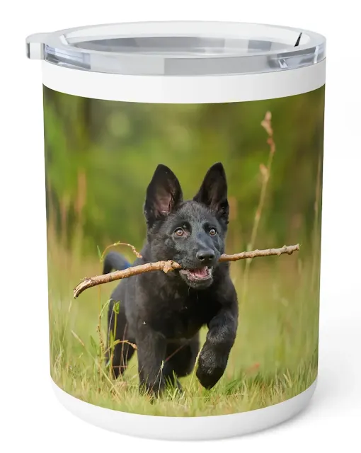 Insulated Stainless Steel Coffee Mug With Young Solid Black German Shepherd Running Holding a Stick