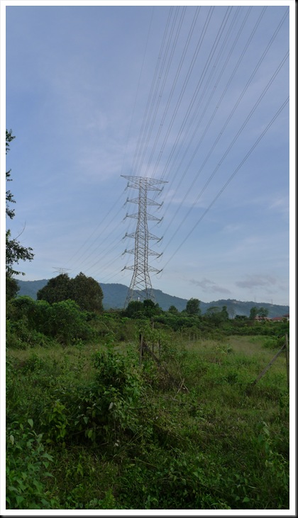 P1050953
