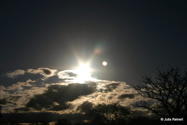 Kruger National Park, Mpumalanga, South Africa