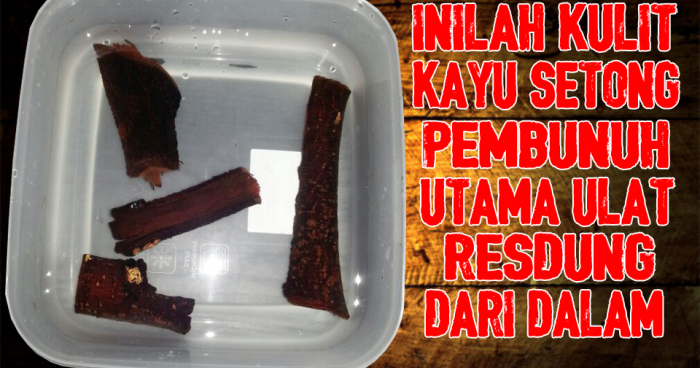 Ubat Selsema Gatal - Contoh Box