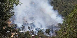 Onemi decreta alerta roja por incendio forestal en Quilpué