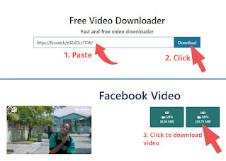 Free Online Video Downloader