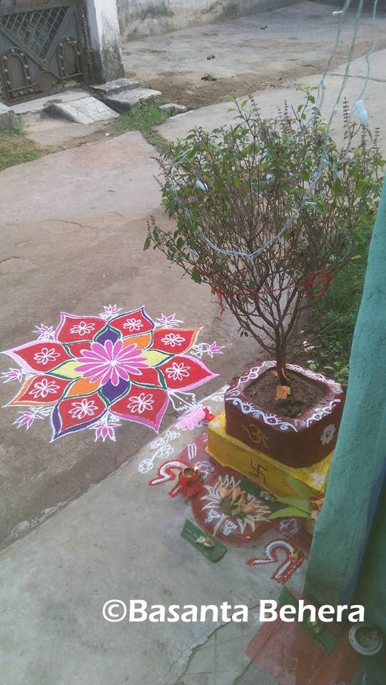 Muruja (ମୁରୁଜ)