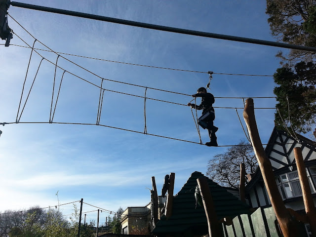 Boy on High Rope Bridge