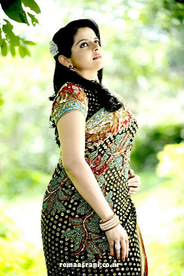 Malayalam Film Industry Actress Roma Photo Collection in Saree