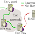 Spoiled Onions: un proyecto para identificar los relays de salida maliciosos en la red Tor
