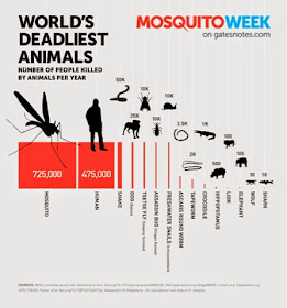 deadliest animals