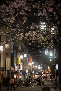 2024賞櫻行程|東京四天三日遊4月賞櫻美食旅行