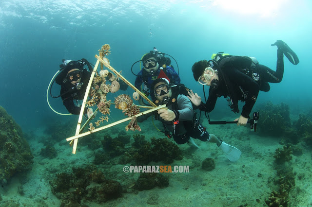 Jun V Lao, Underwater Photography, Scuba Diving