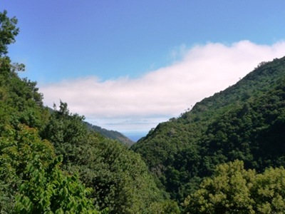 P1040206