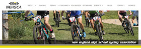 screen grab of  NEHSCA webpage