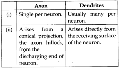 Solutions Class 11 Biology Chapter -21 (Neural Control and Coordination)