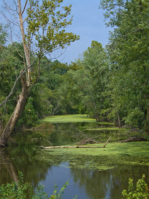 Saint John's Creek, in Washington, Franklin County, Missouri, USA