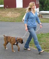 Dog Obedience Training - How to Train Your Dog to Walk