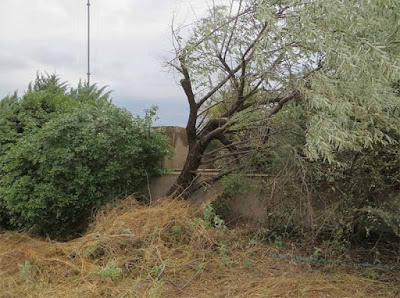 Χαλκιδική: Ζημιές στην αρχαία Όλυνθο και το Βυζαντινό Μουσείο, δεν επλήγη το Άγιο Όρος