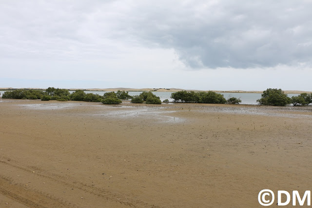 Photo de Waionui Lagoon sur la péninsule sud de Kaipara Harbour Nouvelle-Zélande