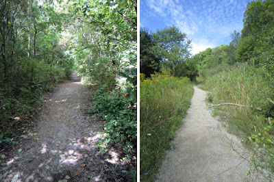 Collage of two images showing the Doris McCarthy hiking trail in Toronto