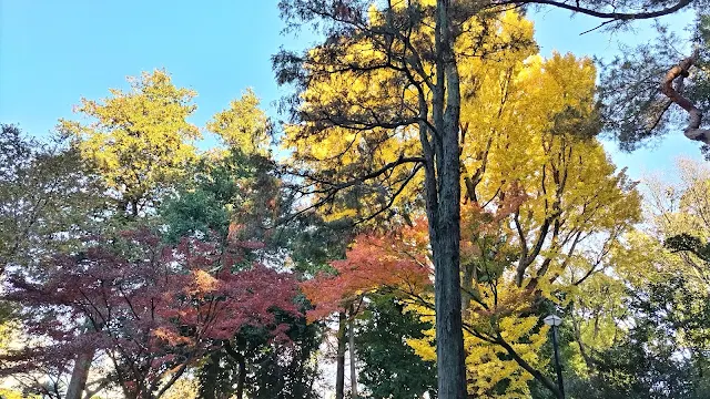 蚕糸の森公園