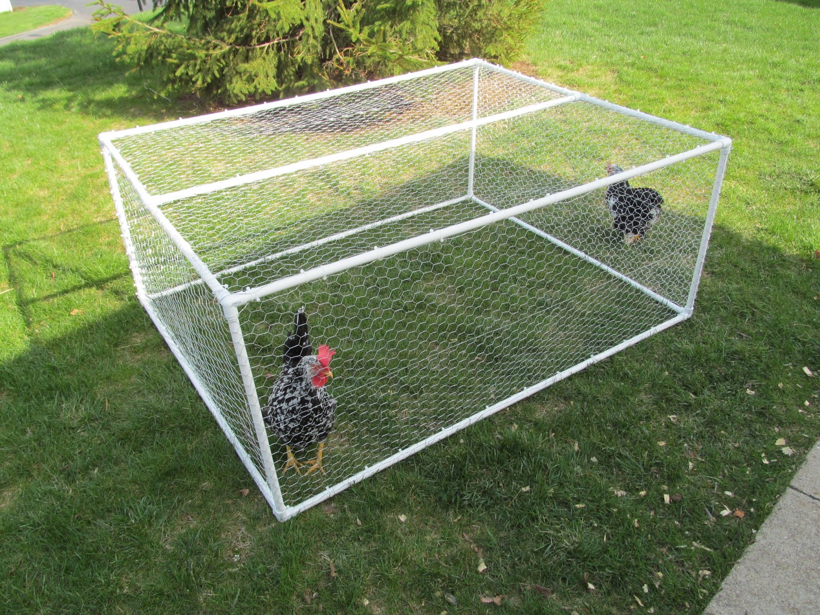 ... : Plans for a portable, light weight, chicken run for less than $30