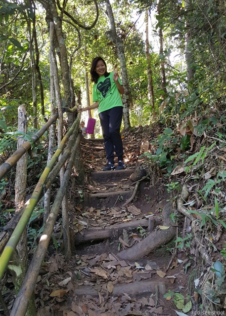   hiking the Pha Dok Siew nature trail at Doi Inthanon