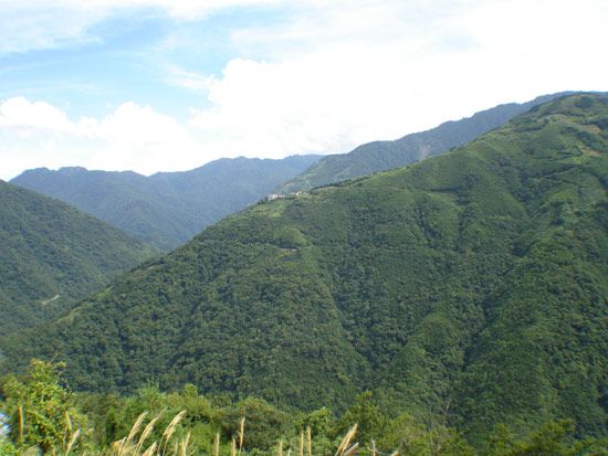 中巴陵