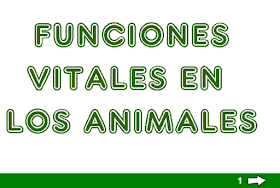  FUNCIONES VITALES DE LOS ANIMALES