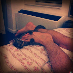kitten hugs human foot, funny cats, cat photos, cat pictures