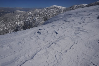 シュカブラと氷ノ山