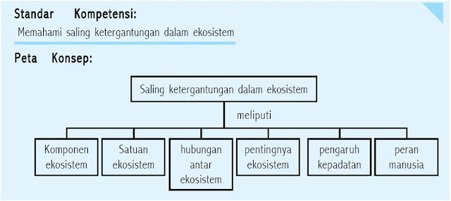 Contoh Ekosistem Dan Komponen Nya - Rumamu di