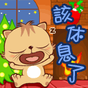 dinga cat