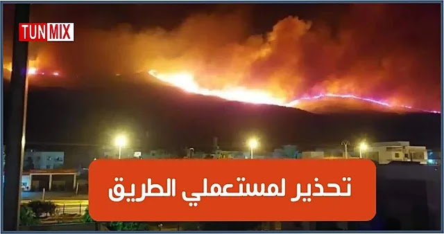 حريق جبل السدرية وصول النيران الى الطريق السيارة و المرصد الوطني يدعو الى الحذر (فيديو)