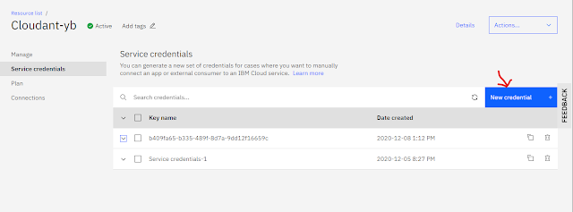 Cloudant Database use