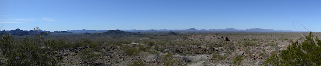 the rest of the area desert with little bumps