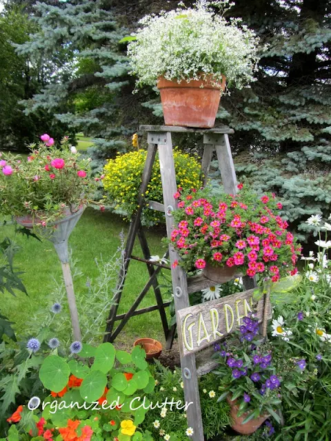 Garden Step Ladder