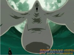 Naruto Shippuuden 05